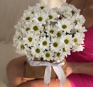 Букеты с хризантемами — Цветы в пакете Самой заботливой