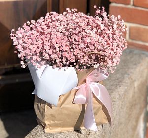 Цветы в пакете — Цветы в пакете Розовый сон