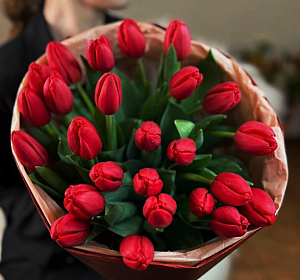 Букет из 25 тюльпанов — Букет из 25 красных тюльпанов