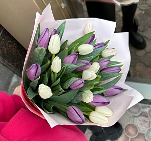 Букет из 25 тюльпанов — Букет Весеннее настроение