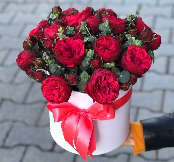 Коробка из пионовидных роз коробка с цветами ред пиано (Роза кустовая  60-70см и Эвкалипт) | Картинка №1