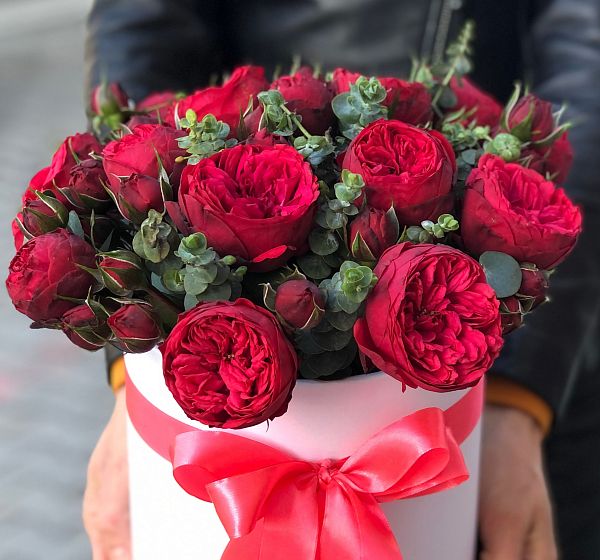 Коробка из пионовидных роз коробка с цветами ред пиано (Роза кустовая  60-70см и Эвкалипт) | Картинка №2