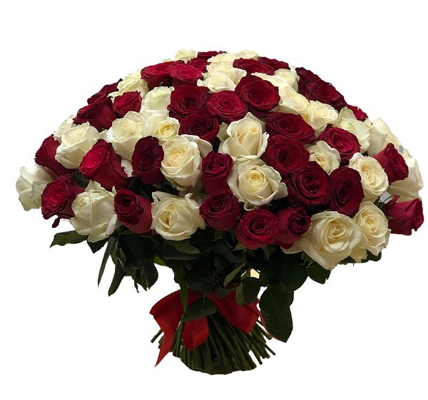 Букет 101 красная и белая  роза  №2