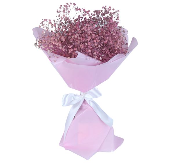 Букет цветов милой принцессе (Гипсофила крашенная и Упаковка для цветов) | Картинка №4