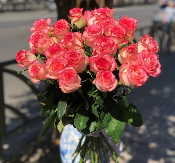 Букет из 25 высоких розовых роз  №1