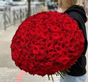 Цветы по акции — Букет 201 красная роза